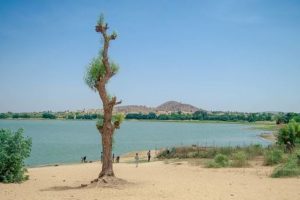 Jigawa St - Wawan Rafi Lake