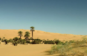 Sokoto St - Dunes