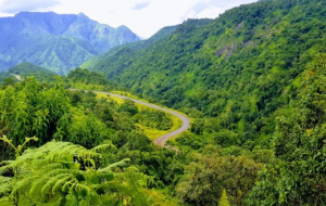 Taraba St - Mambilla Plateau