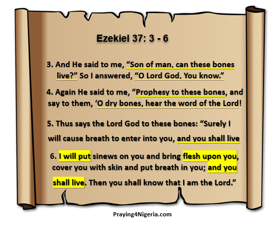 6 - Bible verses Ez 37, 3-6