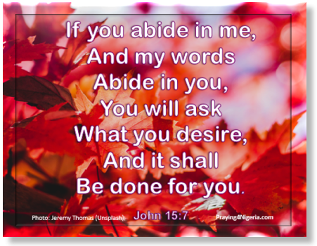 Abide John 15.7 (1)